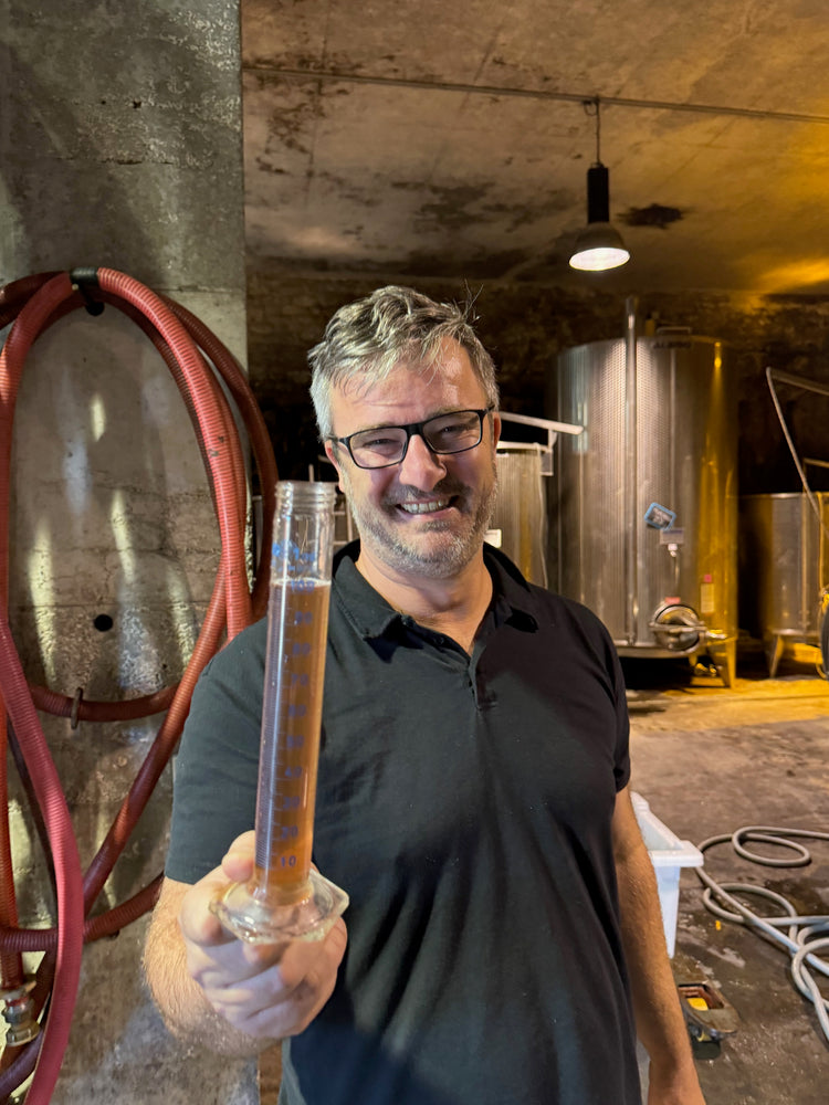 Visite du Vignoble, du Chai & Dégustation - 90 minutes